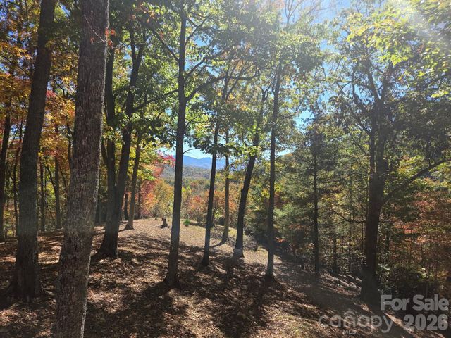 820 Wild Rose Lane, Burnsville, NC 28714