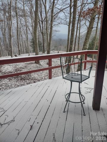 820 Wild Rose Lane, Burnsville, NC 28714