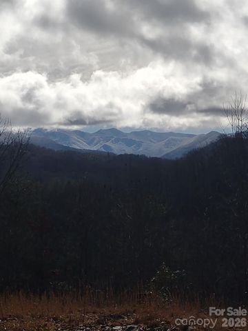 820 Wild Rose Lane, Burnsville, NC 28714