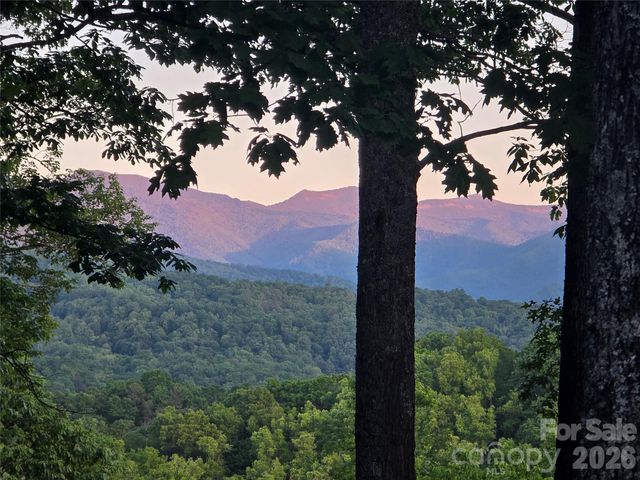 820 Wild Rose Lane, Burnsville, NC 28714