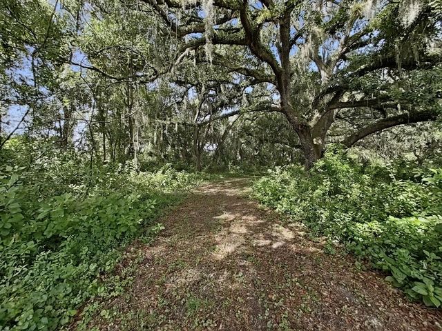 1729 FATS LANE, Seffner, FL 33584