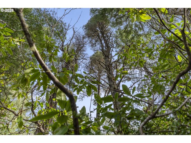 89042 W RANDOLPH Ln, Bandon, OR 97411