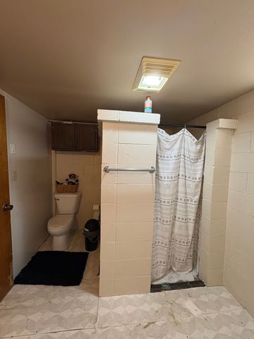 509 W Grant Street, Streator, IL 61364