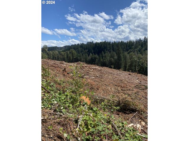 S Hult Rd, Beavercreek, OR 97004