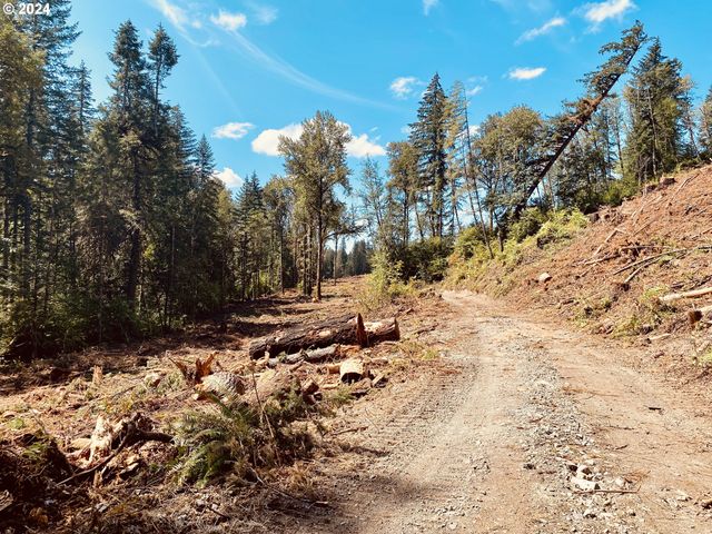 S Hult Rd, Beavercreek, OR 97004