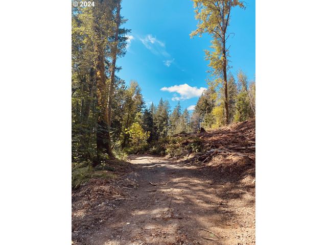 S Hult Rd, Beavercreek, OR 97004