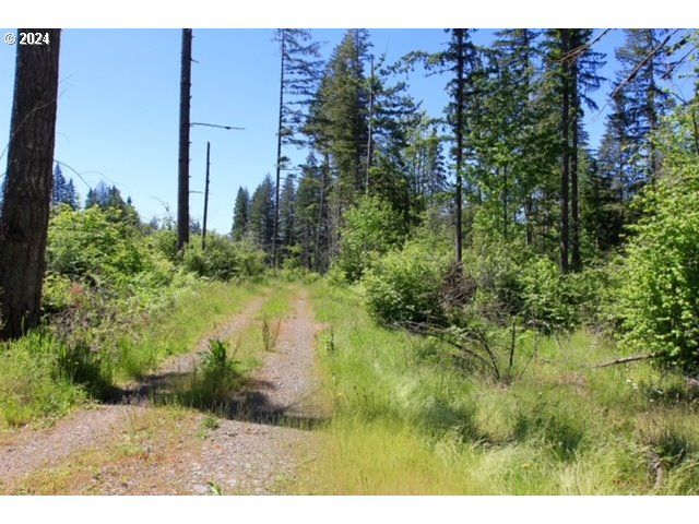 S Hult Rd, Beavercreek, OR 97004