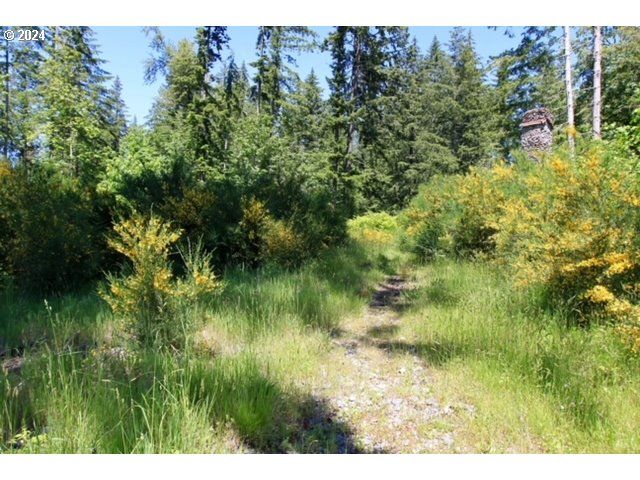 S Hult Rd, Beavercreek, OR 97004