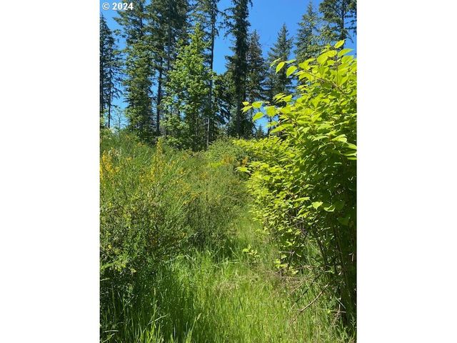 S Hult Rd, Beavercreek, OR 97004