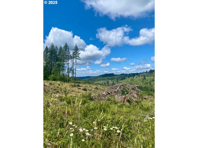 S Hult Rd, Beavercreek, OR 97004