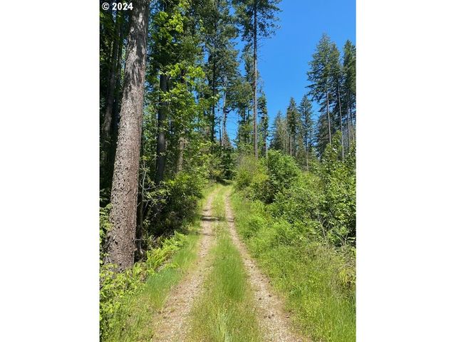S Hult Rd, Beavercreek, OR 97004