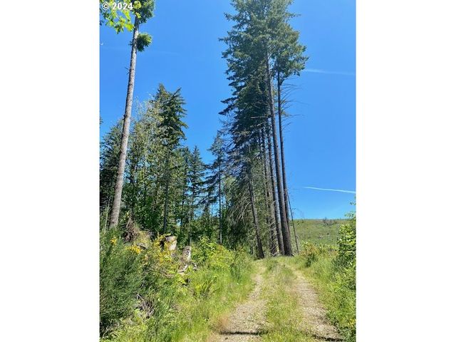 S Hult Rd, Beavercreek, OR 97004