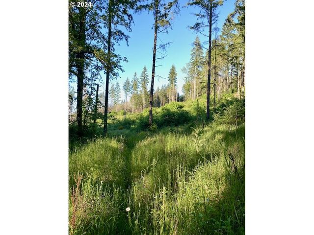 S Hult Rd, Beavercreek, OR 97004