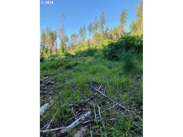 S Hult Rd, Beavercreek, OR 97004