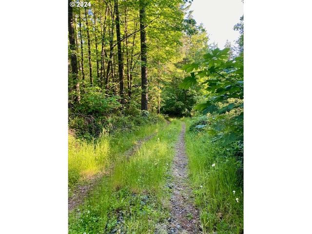 S Hult Rd, Beavercreek, OR 97004
