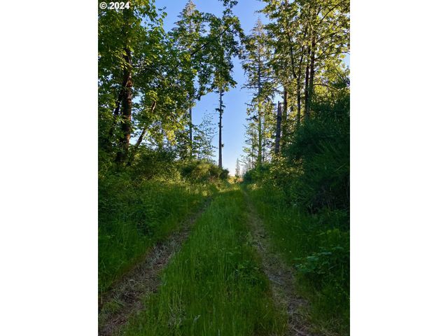 S Hult Rd, Beavercreek, OR 97004