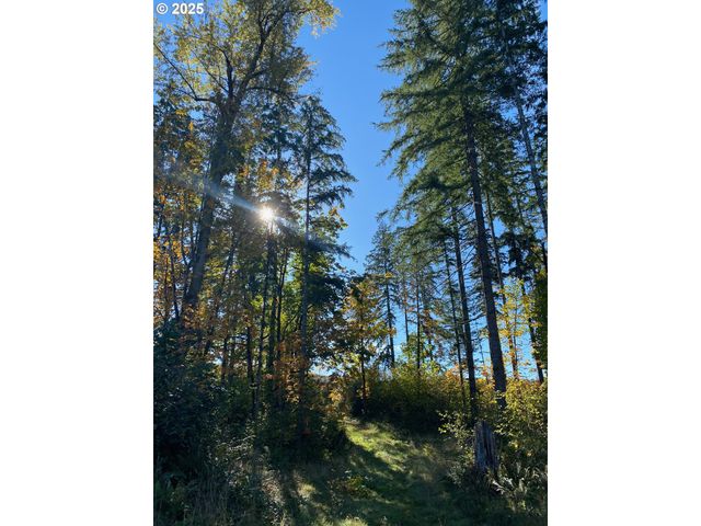 S Hult Rd, Beavercreek, OR 97004