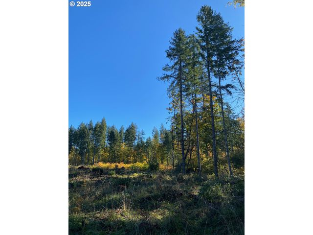 S Hult Rd, Beavercreek, OR 97004