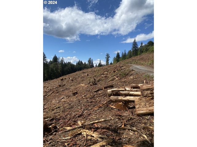 S Hult Rd, Beavercreek, OR 97004