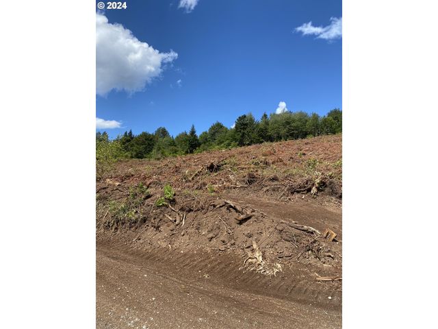 S Hult Rd, Beavercreek, OR 97004