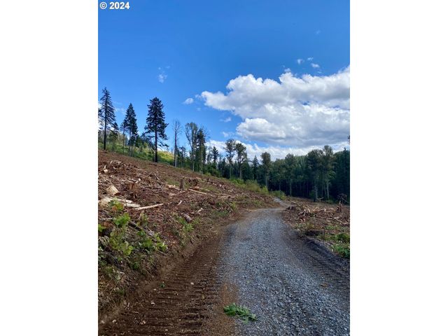S Hult Rd, Beavercreek, OR 97004