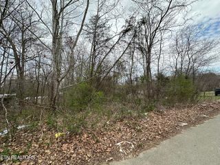 0 Long Ave, Newport, TN 37821