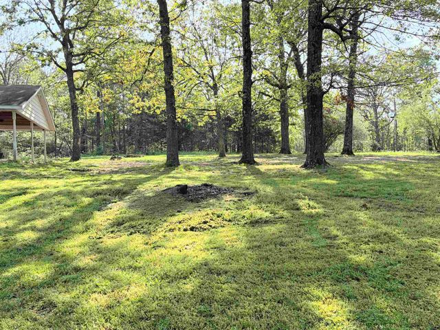 1302 Orchard Lane, Horseshoe Bend, AR 72512