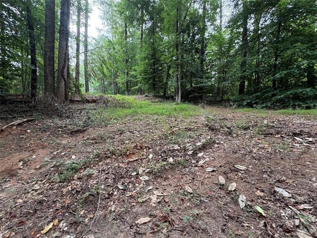 4824 Flakes Mill Road, Ellenwood, GA 30294