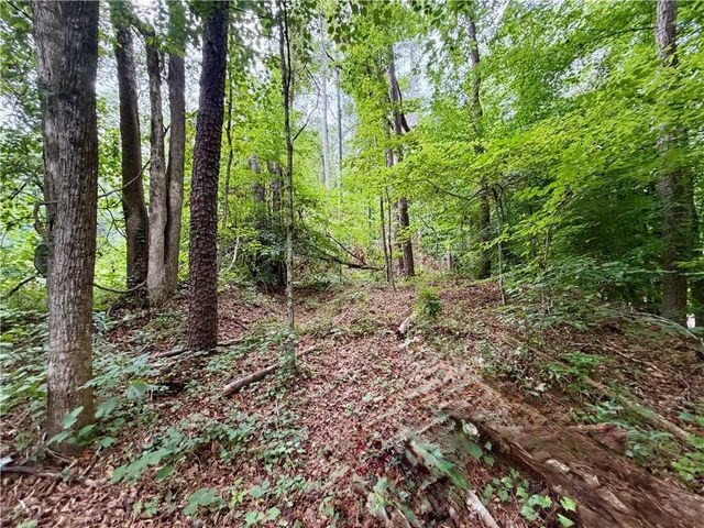 4824 Flakes Mill Road, Ellenwood, GA 30294