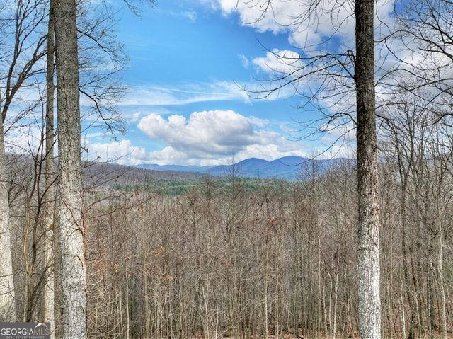 260 Observation Lane, Blue Ridge, GA 30513