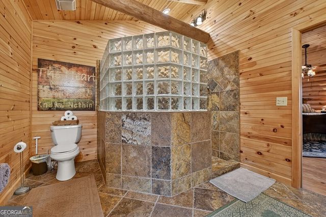 260 Observation Lane, Blue Ridge, GA 30513