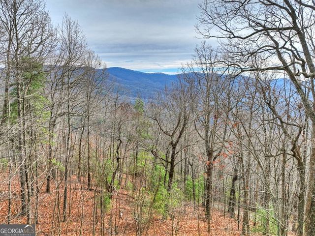 260 Observation Lane, Blue Ridge, GA 30513