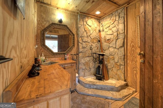 260 Observation Lane, Blue Ridge, GA 30513