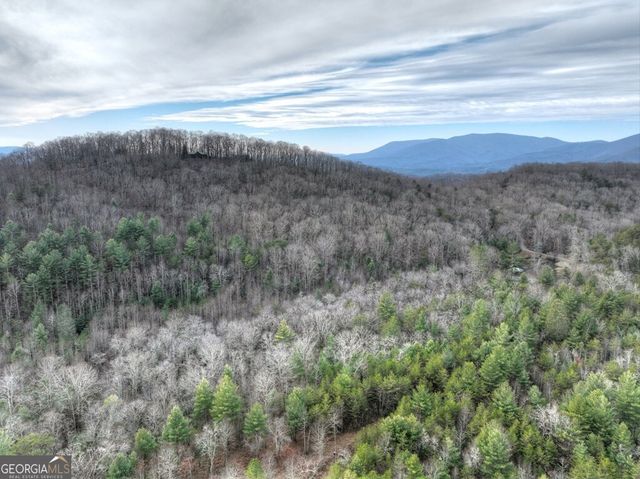 260 Observation Lane, Blue Ridge, GA 30513