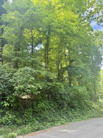 616 Reads Lake Road, Chattanooga, TN 37415