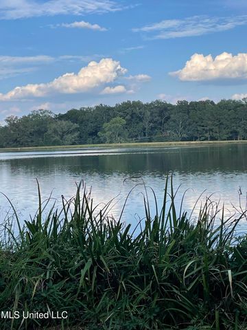 1132 Lake Mimosa Drive, Raymond, MS 39154