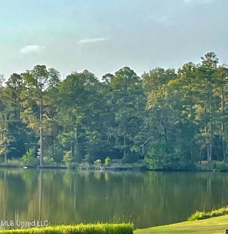 1132 Lake Mimosa Drive, Raymond, MS 39154
