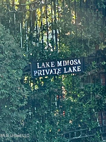 1132 Lake Mimosa Drive, Raymond, MS 39154