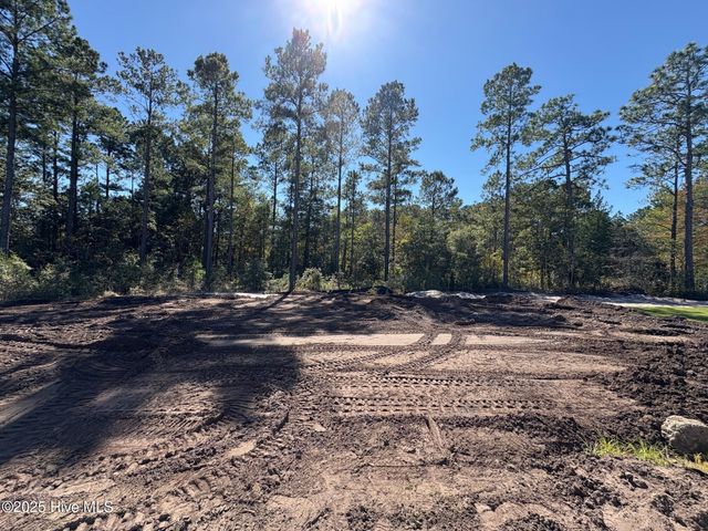 6223 Raystone Way, Leland, NC 28451