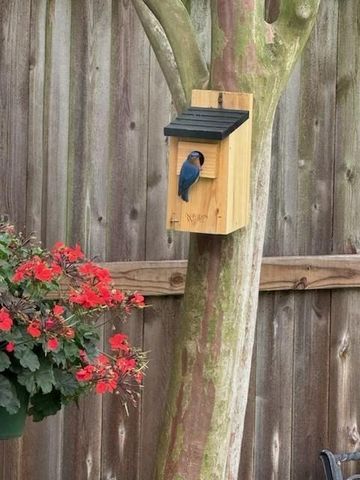 18502 Cascade Timbers Lane, Tomball, TX 77377