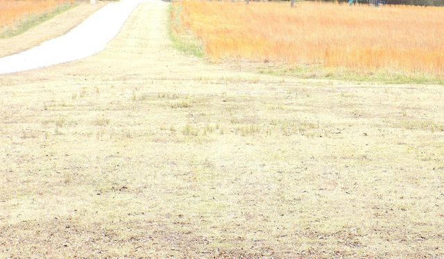 12 Lieblong Rd, Greenbrier, AR 72058