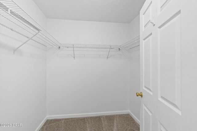 11707 Lighthouse Lane, Panama City, FL 32407