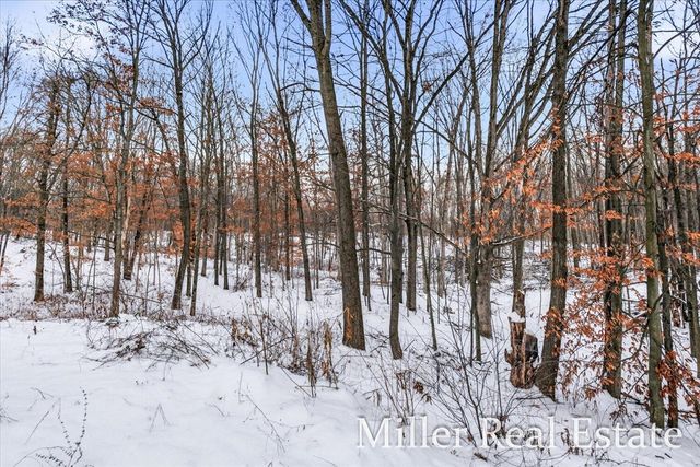 4233 Mud Lake Road, Bellevue, MI 49021