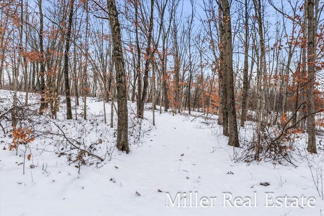 4233 Mud Lake Road, Bellevue, MI 49021