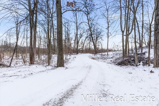 4233 Mud Lake Road, Bellevue, MI 49021