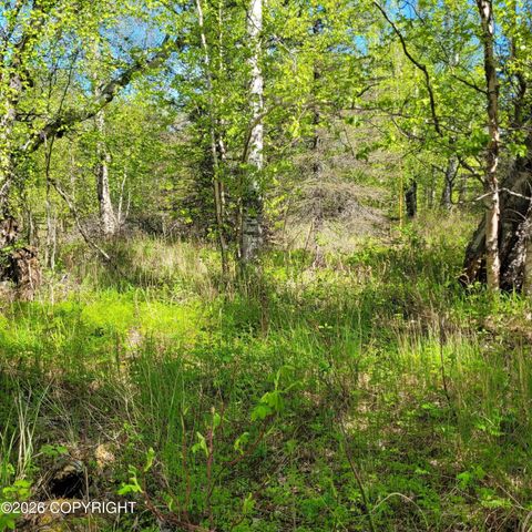 3231 N Calder Road, Wasilla, AK 99654