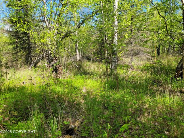 3231 N Calder Road, Wasilla, AK 99654