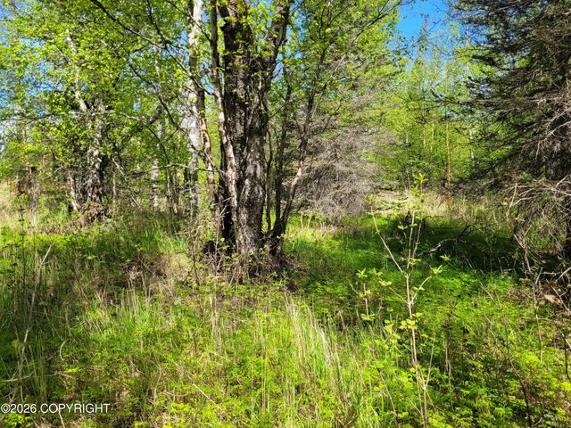 3231 N Calder Road, Wasilla, AK 99654