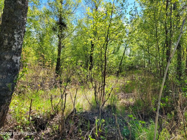 3231 N Calder Road, Wasilla, AK 99654