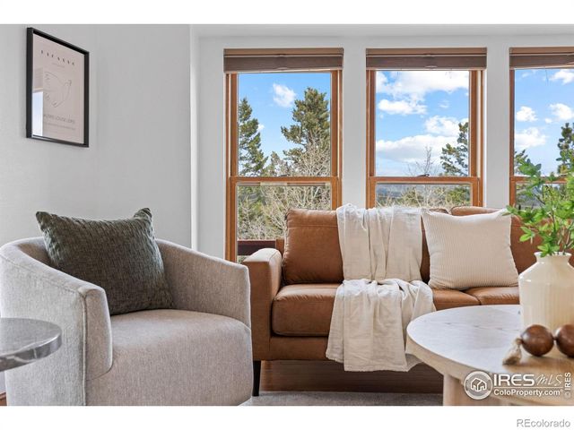 880 Hummer Drive, Nederland, CO 80466